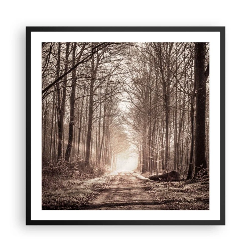 Plagát v čiernom ráme - Lesná katedrála - 60x60 cm
