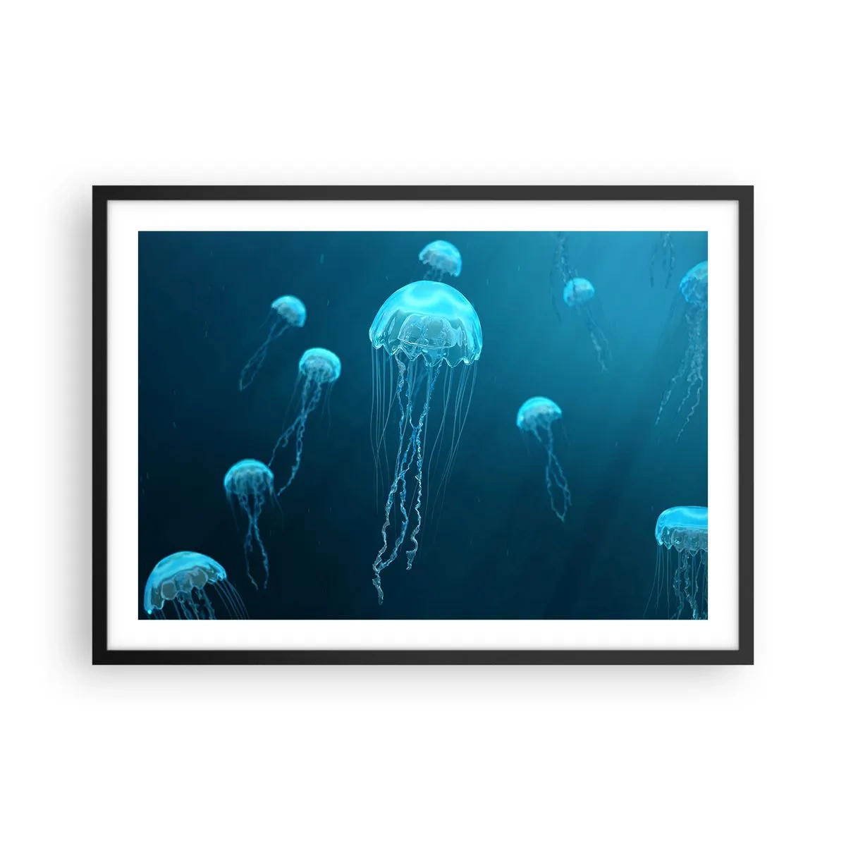 Plagát v čiernom ráme - Oceánsky tanec - 70x50 cm