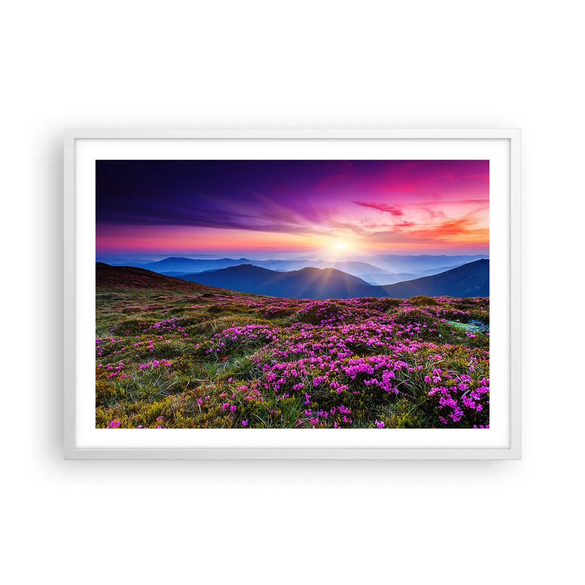 Plagát v bielom ráme - Zavoňali svieže púčiky byliniek z obilných polí - 70x50 cm