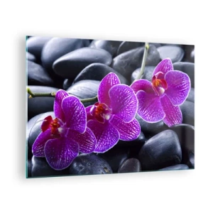 Obraz na skle - Fialové orchidey na pozadí hladkých kameňov - 70x50cm - Kamene sa rozžiarili nadšením - Moderná nástenná dekorácia do obývacej izby a spálne ARTTOR