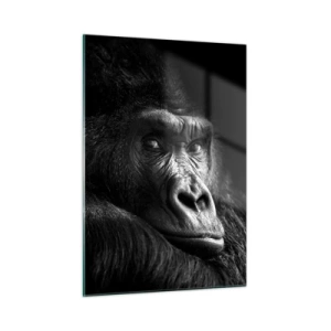 Obraz na skle - Na čo sa tak pozeráš? - 50x70 cm