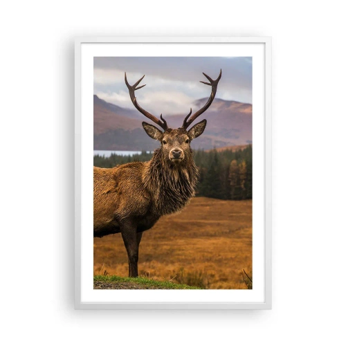 Plagát v bielom ráme - Majestát prírody - 50x70 cm