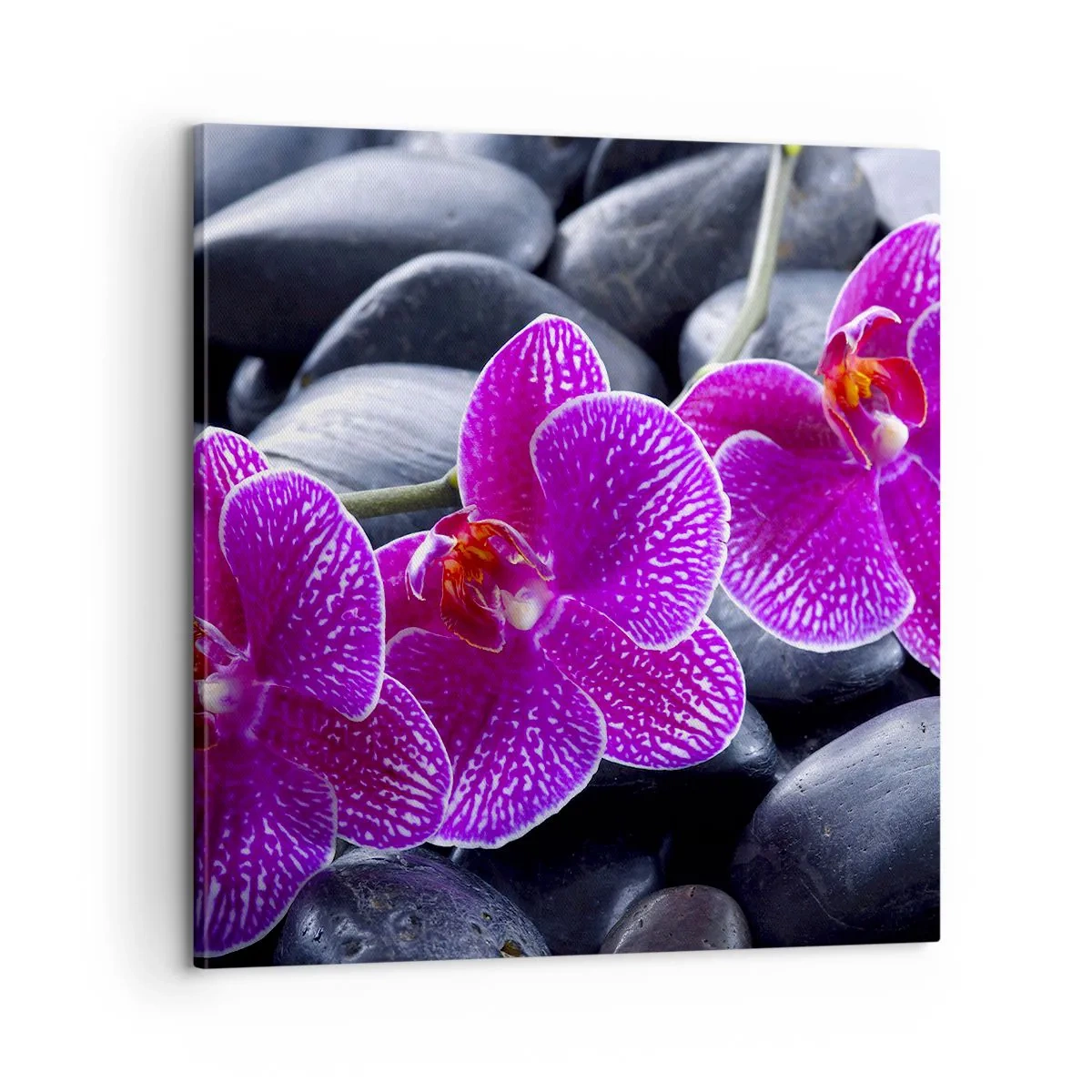 Obraz na plátne - Kamene sa rozžiarili nadšením - 60x60 cm
