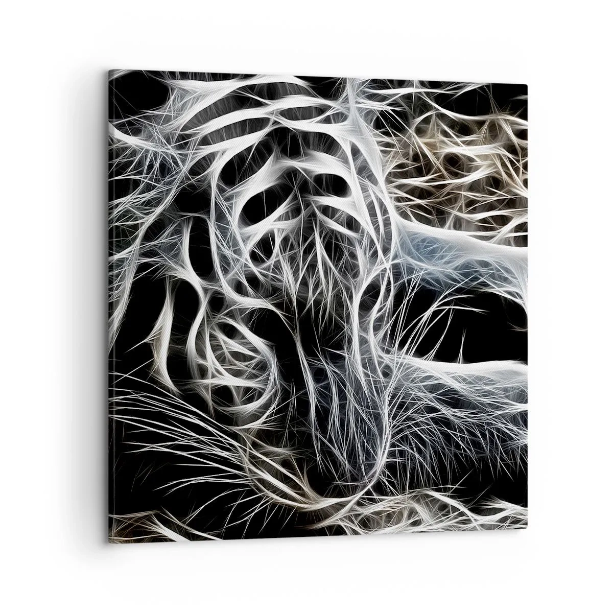 Obraz na plátne - Štúdia mačacej ľahkosti - 50x50 cm