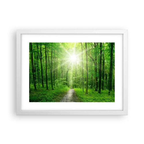 Plagát v bielom ráme - Zelená katedrála - 40x30 cm