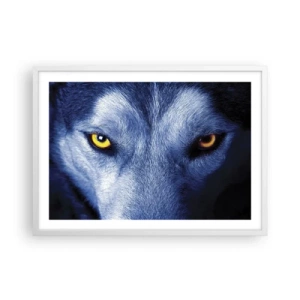 Plagát v bielom ráme - Fascinujúci pohľad - 70x50 cm