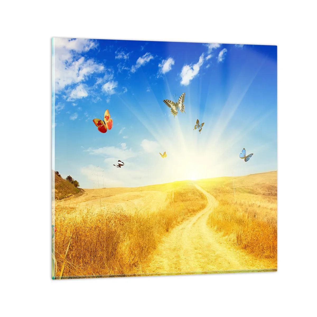 Obraz na skle - Ako nemilovať leto? - 70x70 cm