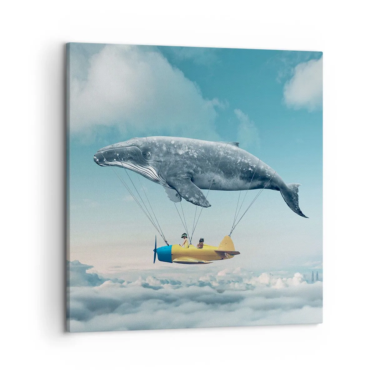 Obraz na plátne - Prečo by nie? - 50x50 cm