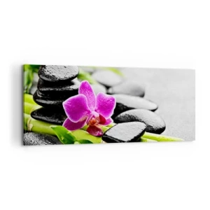 Obraz na plátne - V pokojnej rovnováhe - 100x40 cm
