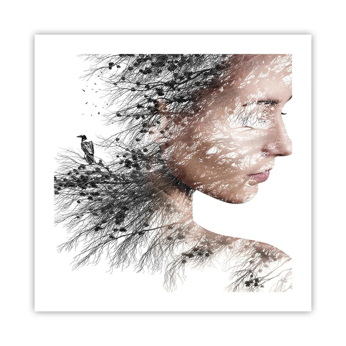 Plagát - Duch lesa - 50x50 cm