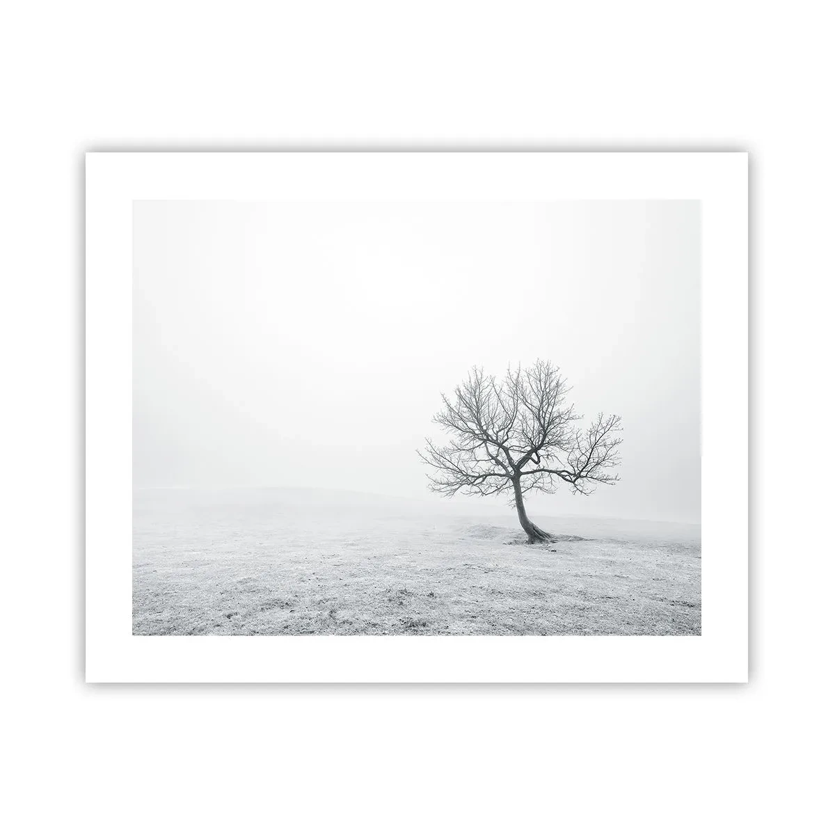 Plagát - Proti ničote - 50x40 cm