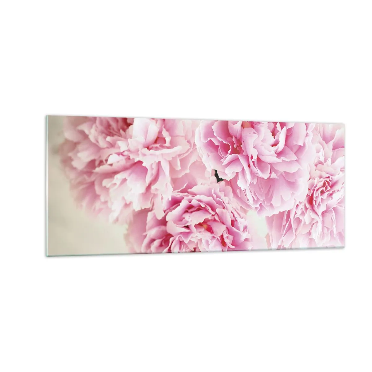 Obraz na skle - V ružovom prepychu - 100x40 cm