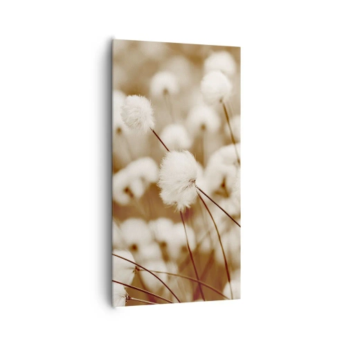 Obraz na plátne - Chlpatý lán - 65x120 cm