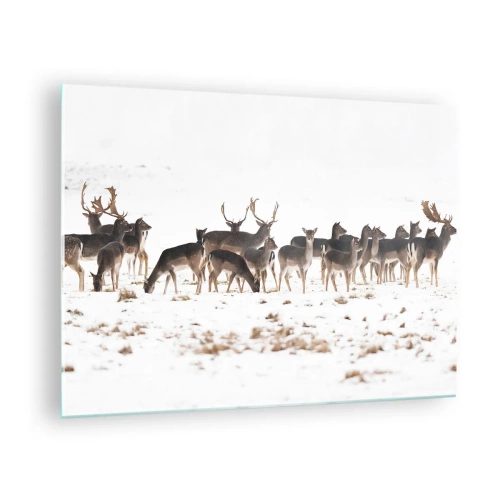 Obraz na skle - Fotografia stáda jeleňov v zasneženej krajine - 70x50cm - Budú sviatky? - Moderná nástenná dekorácia do obývacej izby a spálne ARTTOR