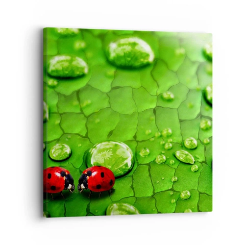 Obraz na plátne - Stretnutie v zeleni - 30x30 cm