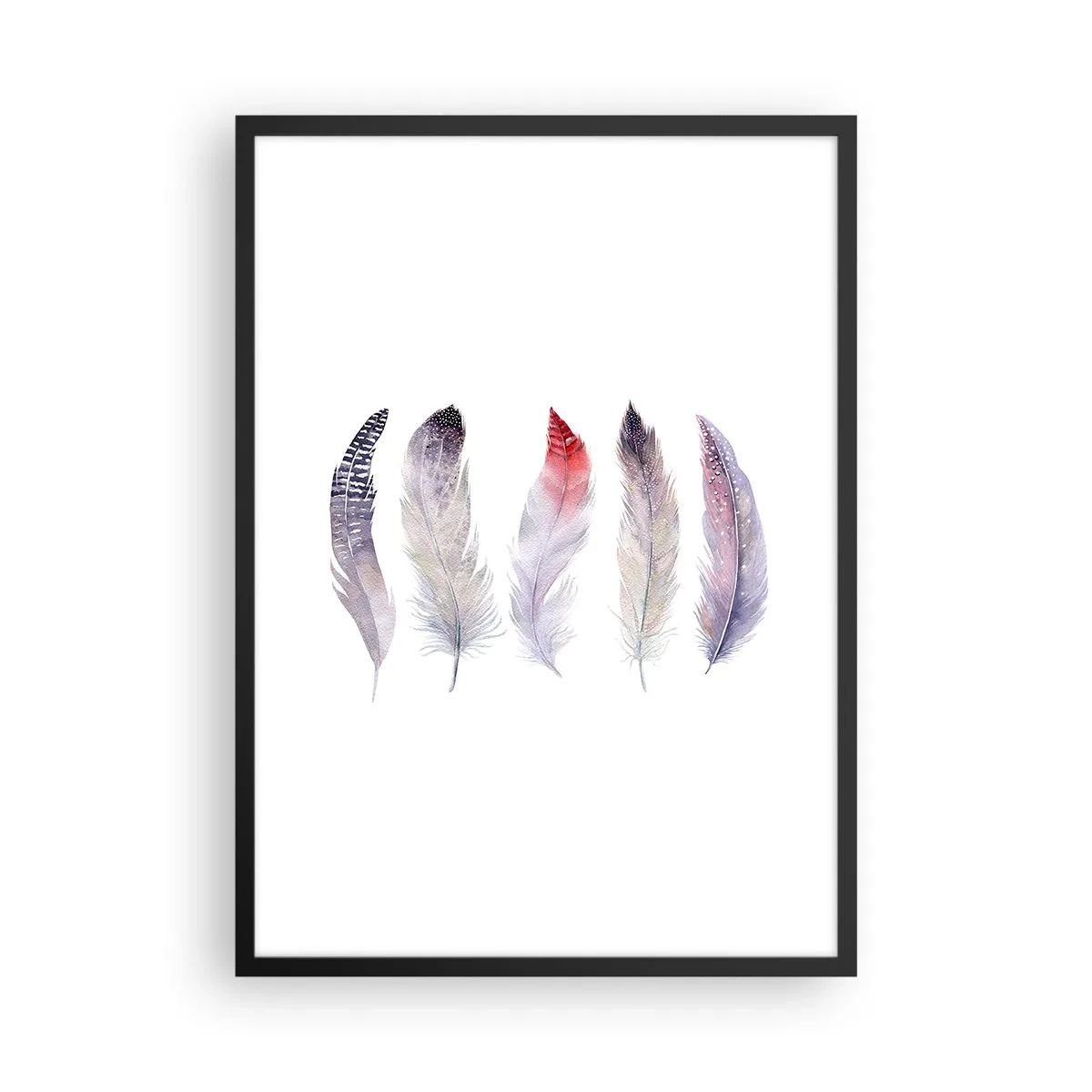 Plagát v čiernom ráme - Farebné perie na bielom pozadí v jemnom štýle - 50x70cm - Jemné ako rôznofarebná hmla - Moderná nástenná dekorácia do obývacej izby a spálne ARTTOR