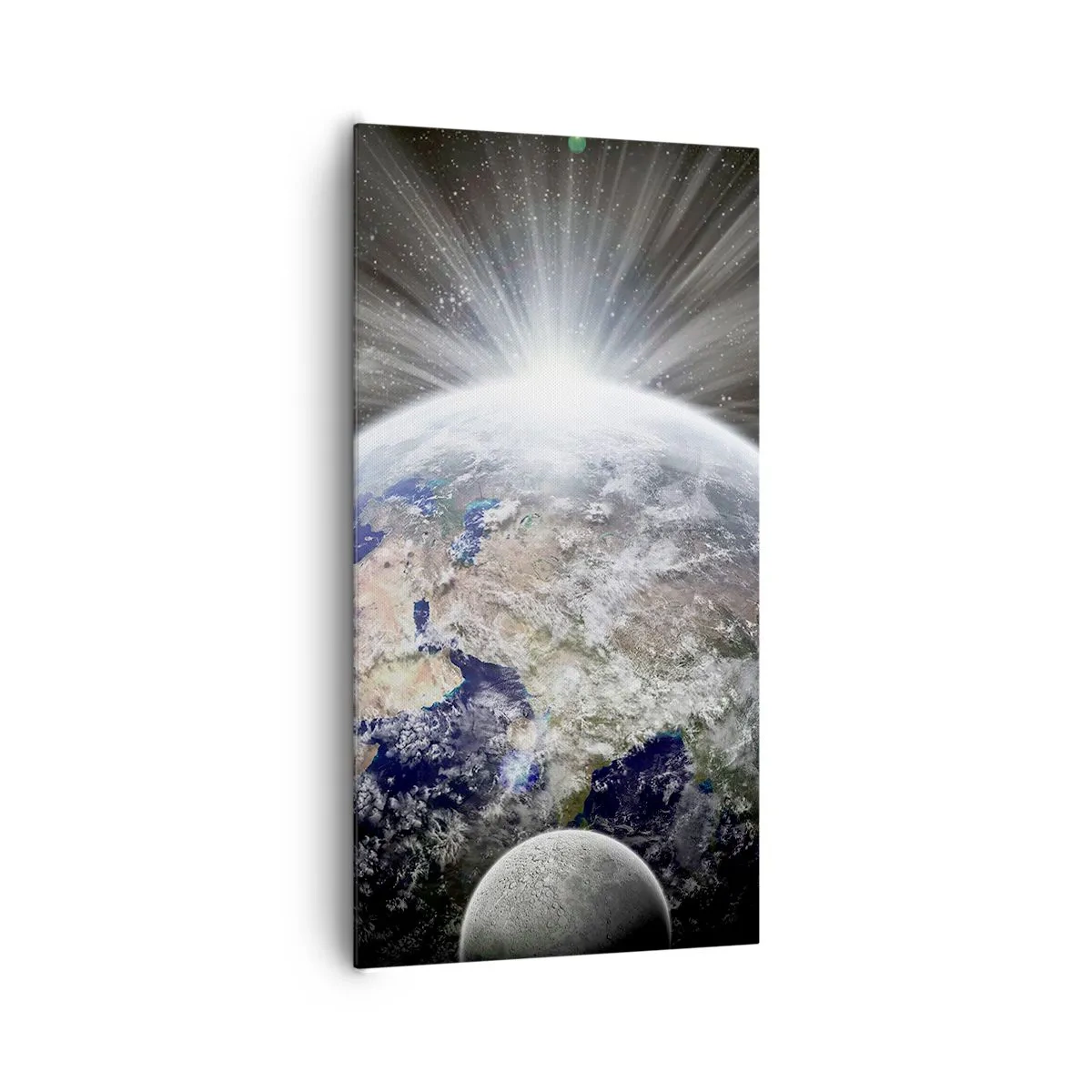 Obraz na plátne - V plnom lesku - 65x120 cm