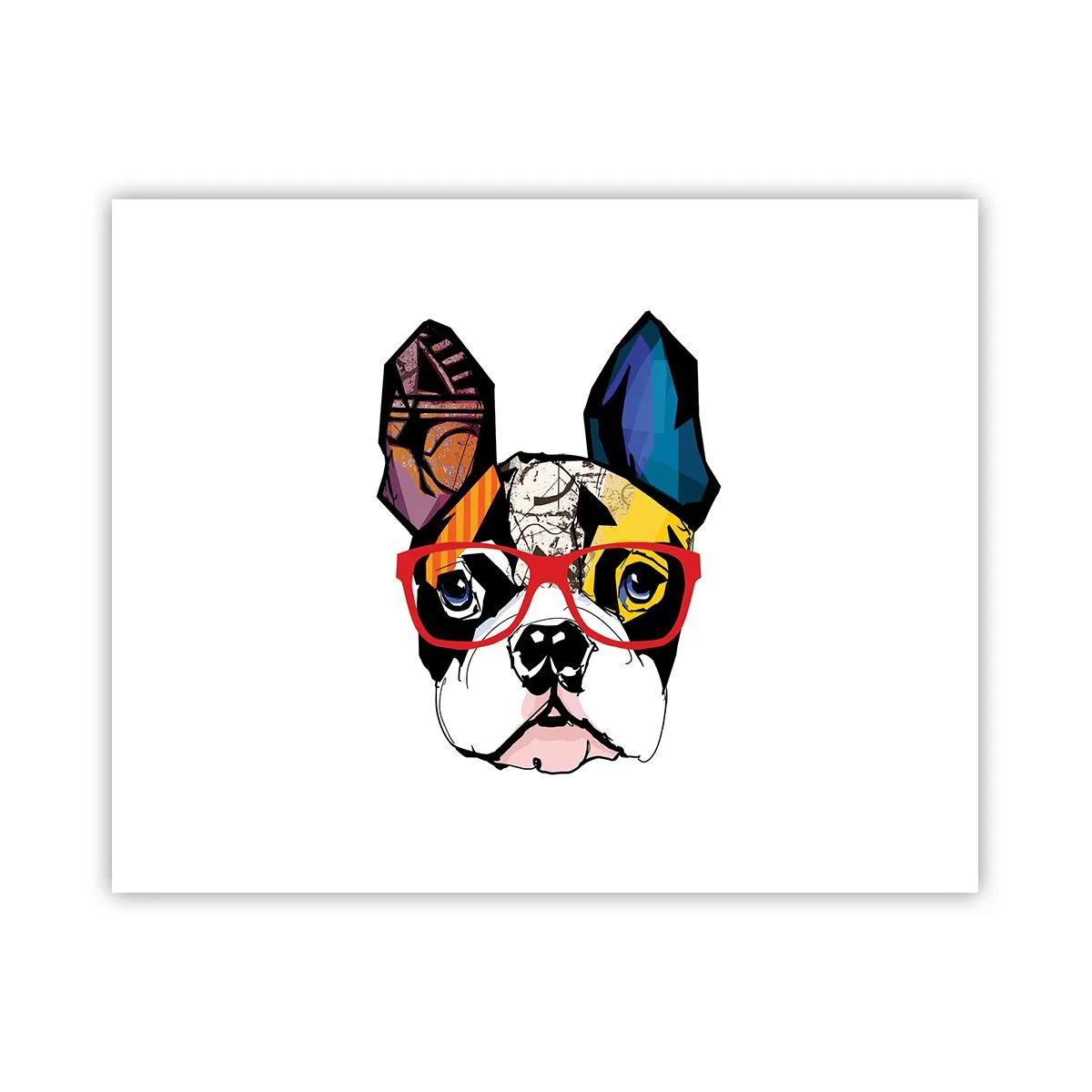 Plagát - Intelektuál - 50x40 cm