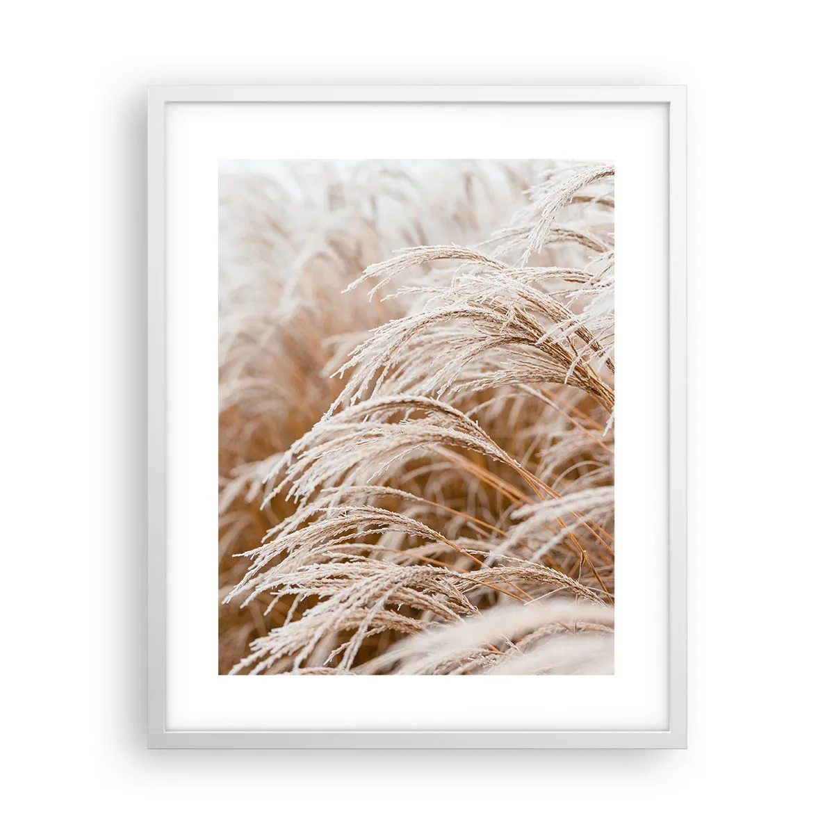 Plagát v bielom ráme - Klanenie jesennému slnku - 40x50 cm