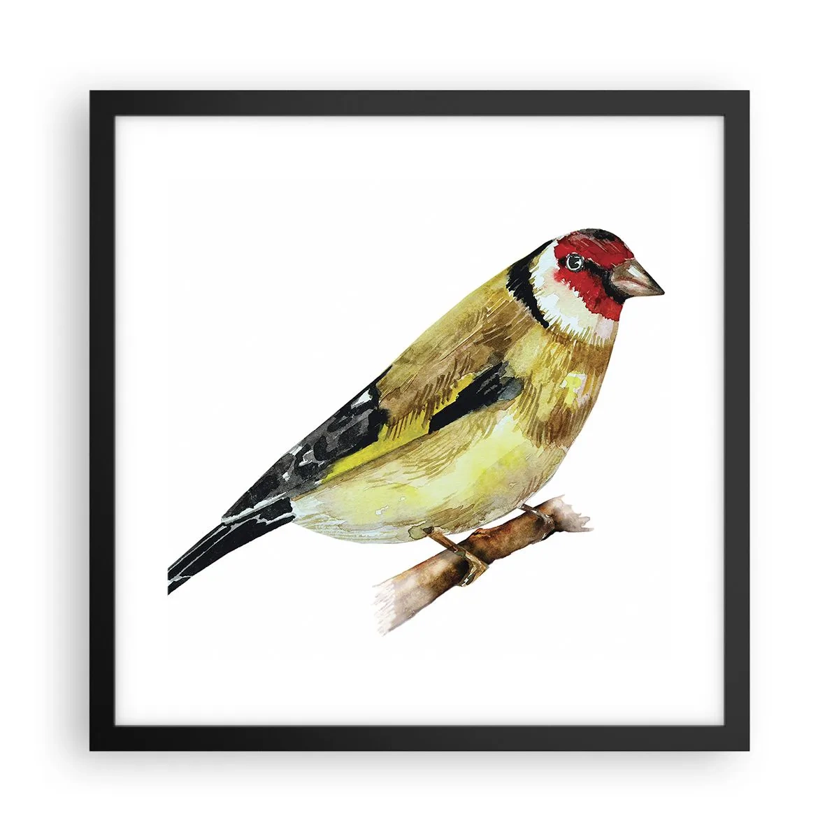 Plagát v čiernom ráme - Vtáčí portrét - 40x40 cm