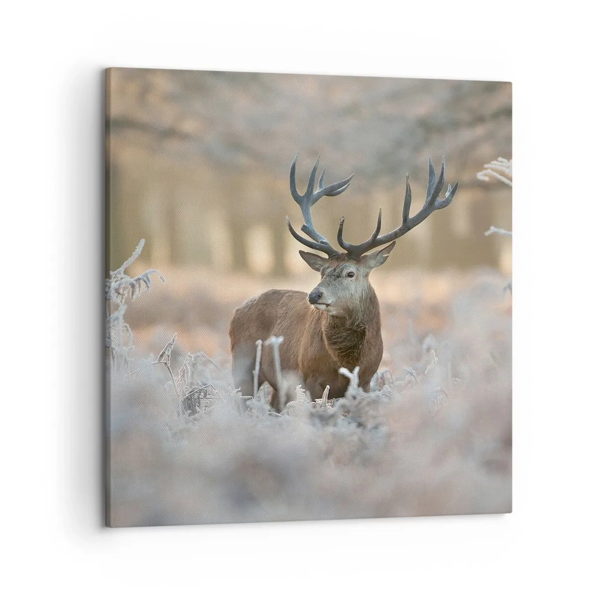 Obraz na plátne - Svieže ráno - 50x50 cm