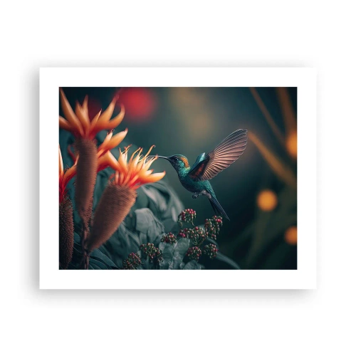 Plagát - Skutočne pestrý život - 50x40 cm