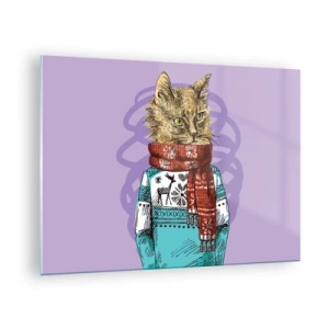 Obraz na skle - Mačka v svetri a šatke na fialovom pozadí - 70x50cm - Mačka nielen v topánkach - Moderná nástenná dekorácia do obývacej izby a spálne ARTTOR