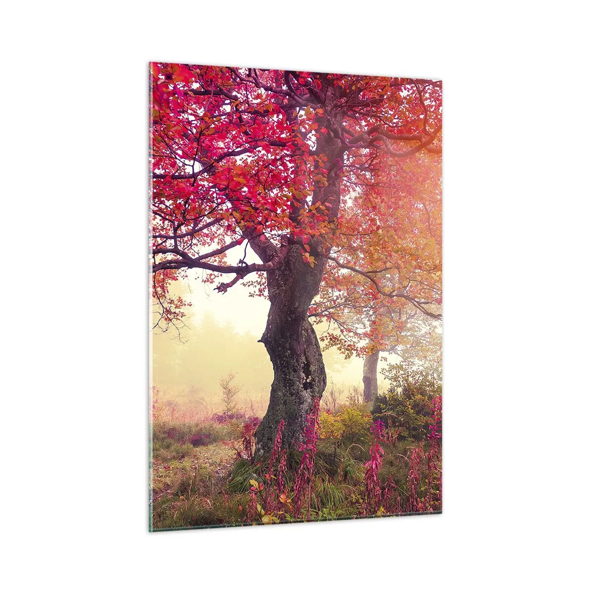 Obraz na skle - Šialenstvo rozkvetu - 50x70 cm