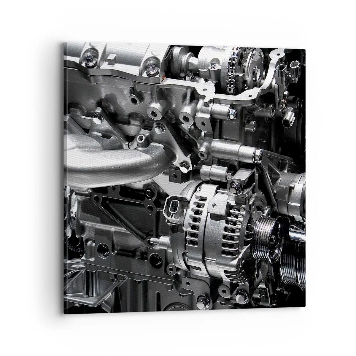 Obraz na plátne - Kovový, krásny, silný - 70x70 cm