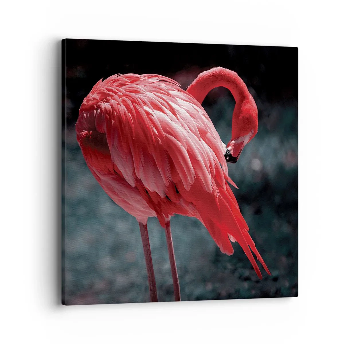 Obraz na plátne - Karmínová báseň prírody - 40x40 cm