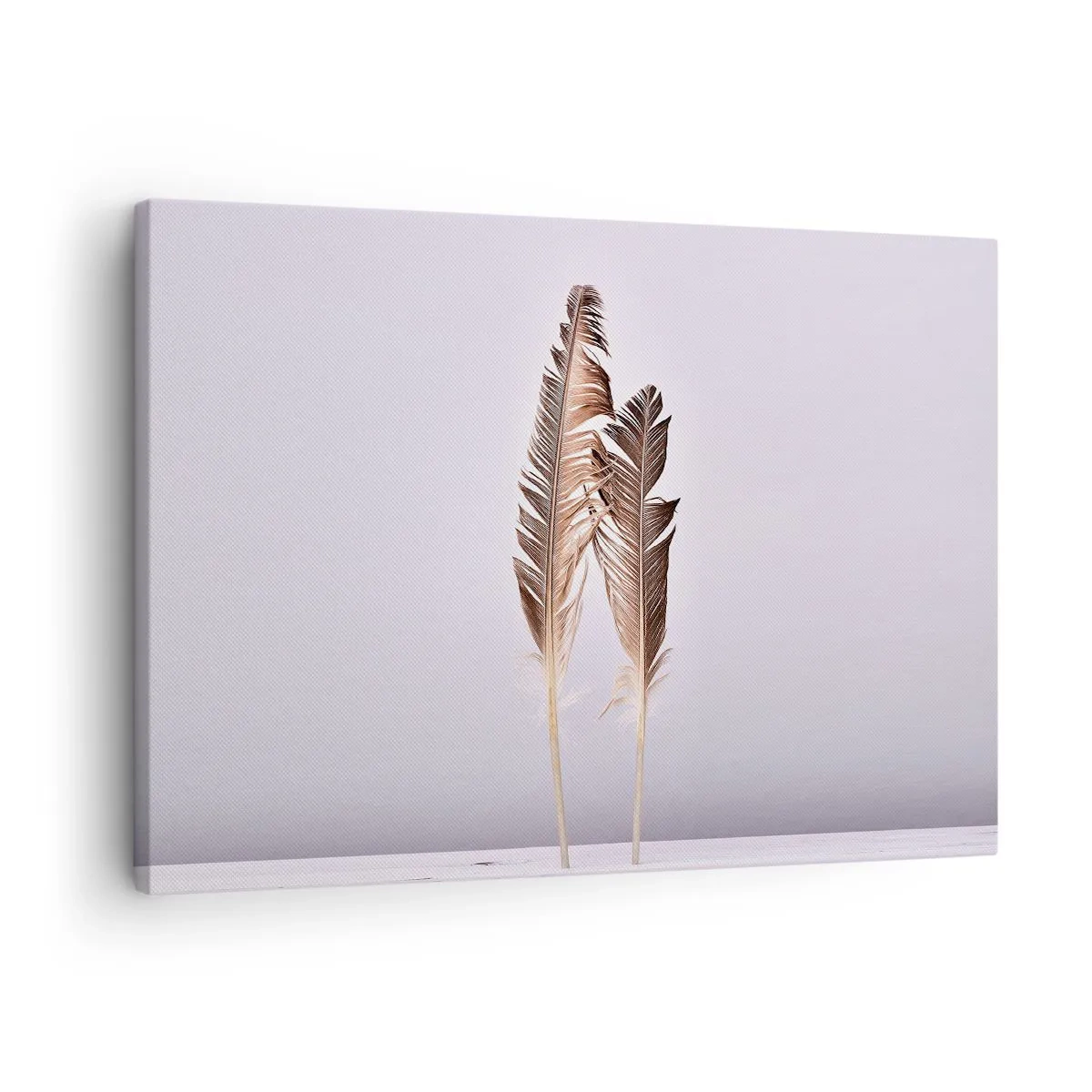 Obraz na plátne - Jemné pierka na svetlom pozadí v minimalistickom štýle - 70x50cm - Proti ničote - Moderná nástenná dekorácia do obývacej izby a spálne ARTTOR
