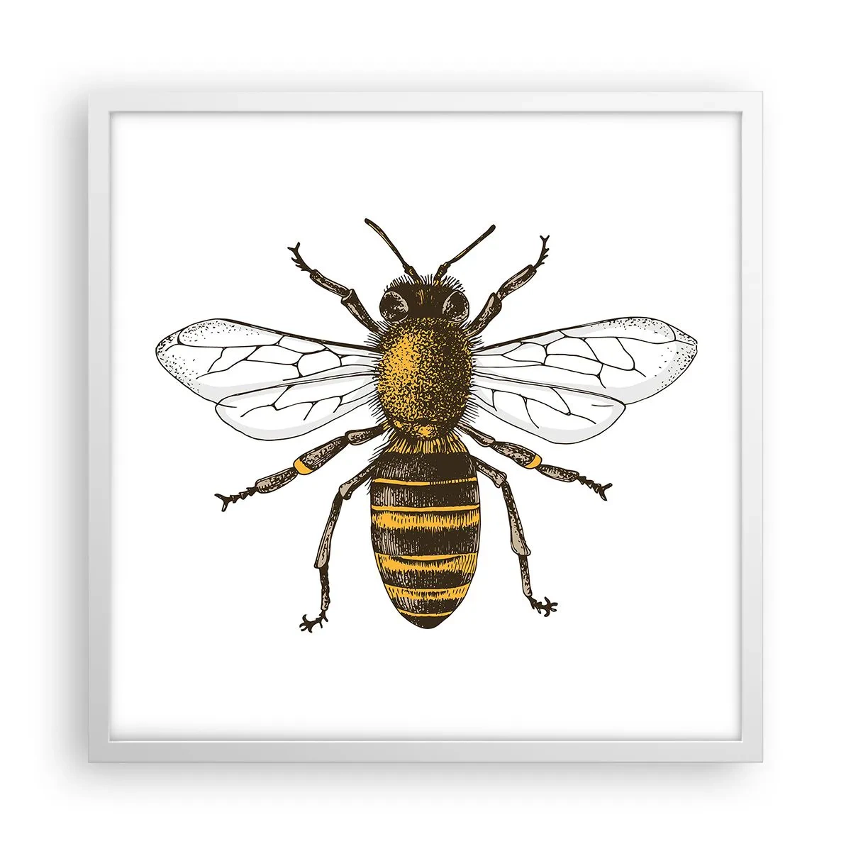 Plagát v bielom ráme - Krásna a dobrá - 50x50 cm