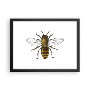 Plagát v čiernom ráme - Krásna a dobrá - 40x30 cm