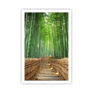 Plagát - Esencia ázijskej prírody - 61x91 cm