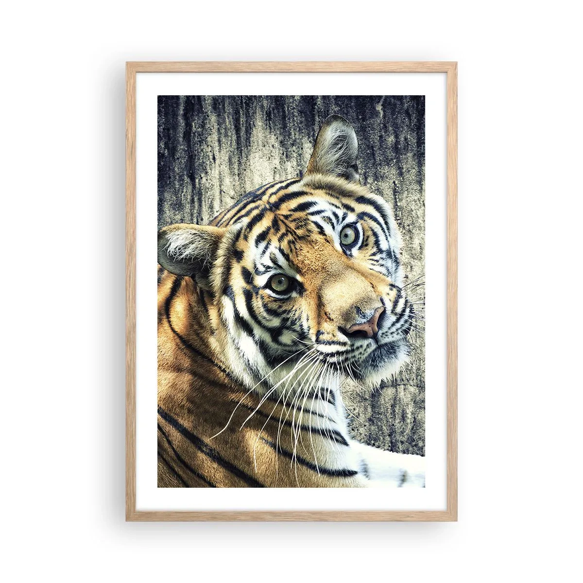 Plagát v ráme zo svetlého duba - Portrét v prameňoch svetla - 50x70 cm