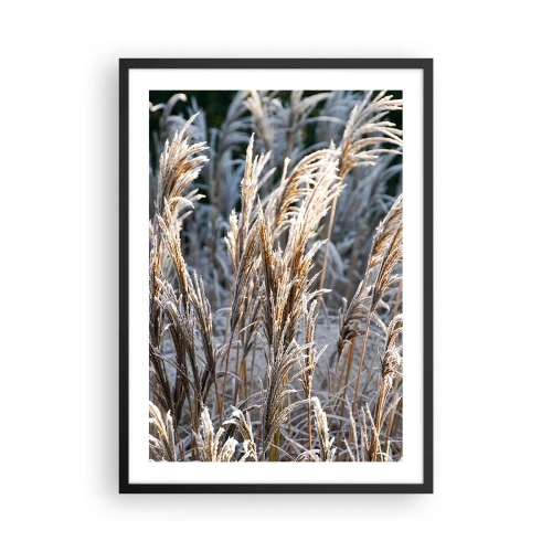 Plagát v čiernom ráme - Sušené trávy pokryté mrazom v zimnej krajine - 50x70cm - Mrazom pokryté - Moderná nástenná dekorácia do obývacej izby a spálne ARTTOR