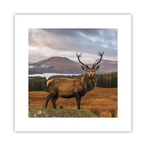 Plagát - Majestát prírody - 30x30 cm