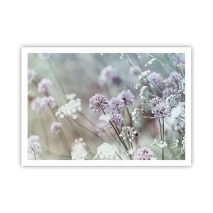 Plagát - Sladké filigrány byliniek - 100x70 cm