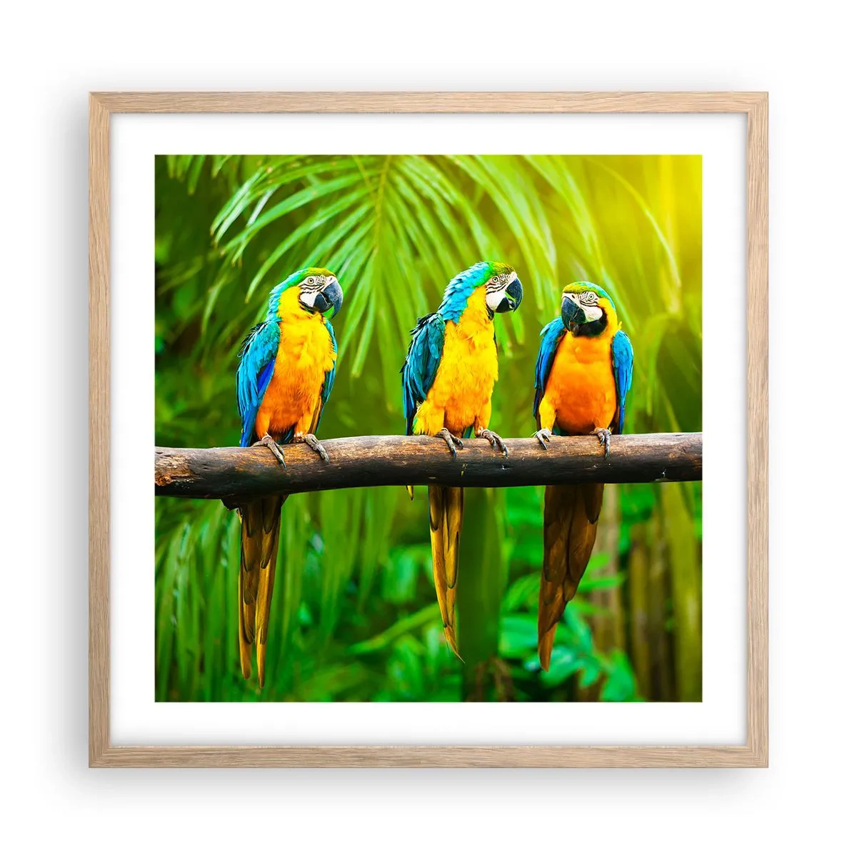 Plagát v ráme zo svetlého duba - Počula si, že ona…? - 50x50 cm