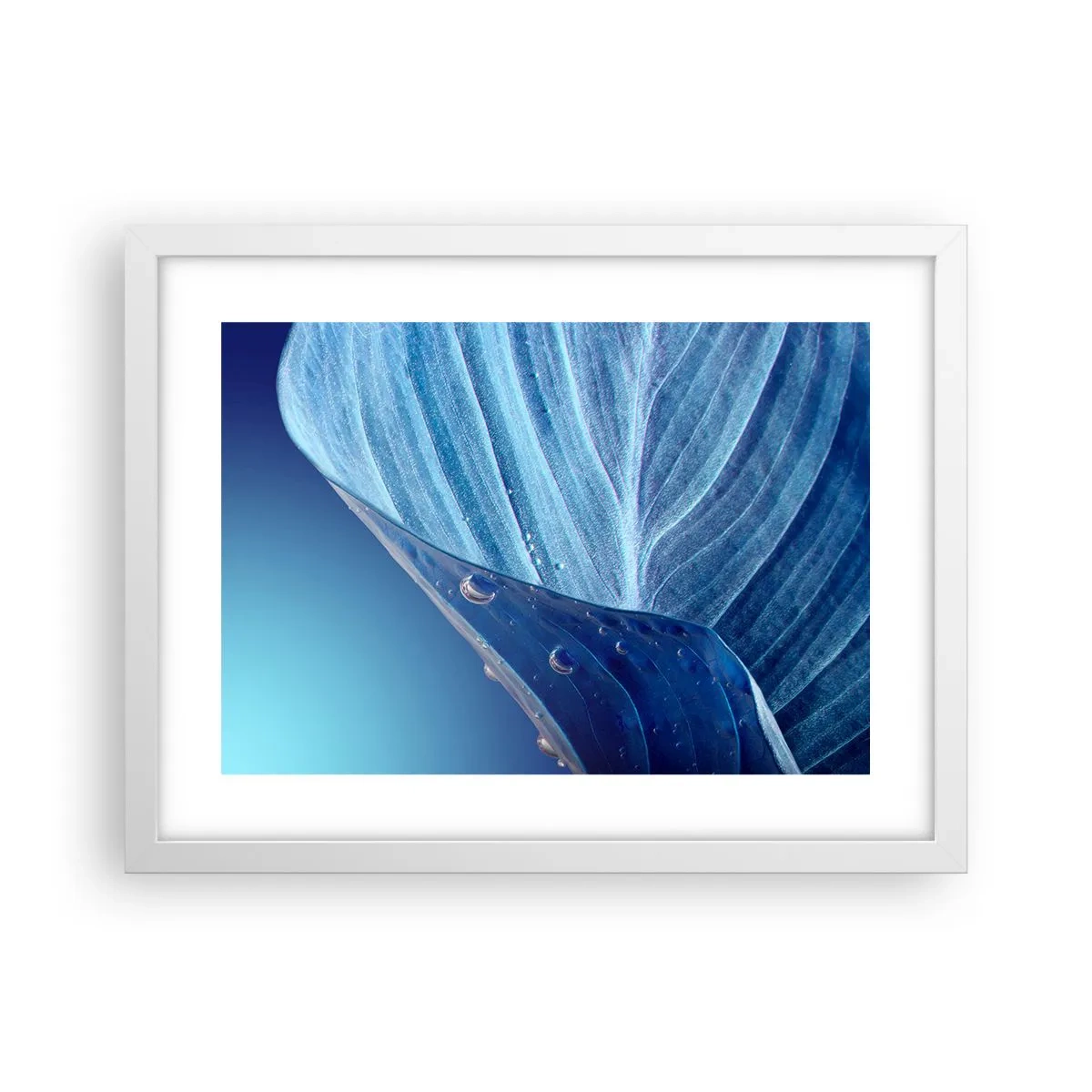 Plagát v bielom ráme - Skryté kvapky modrej - 40x30 cm