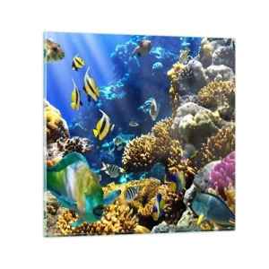 Obraz na skle - Veľká prevádzka na prázdninovom chodníku - 50x50 cm