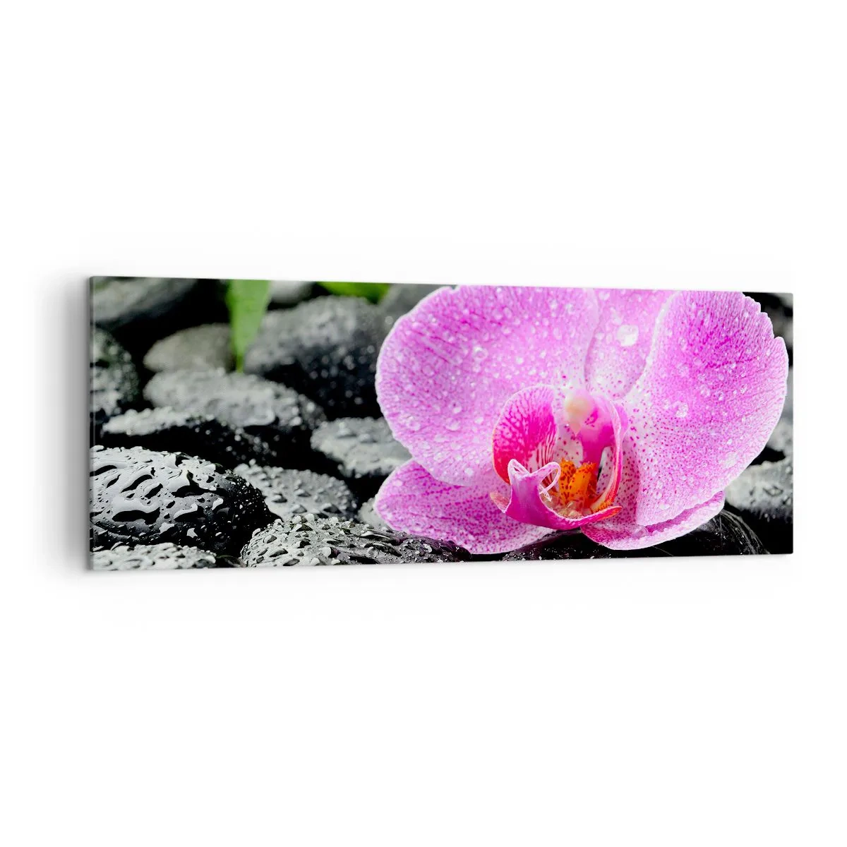 Obraz na plátne - Ako otvorené srdce - 140x50 cm