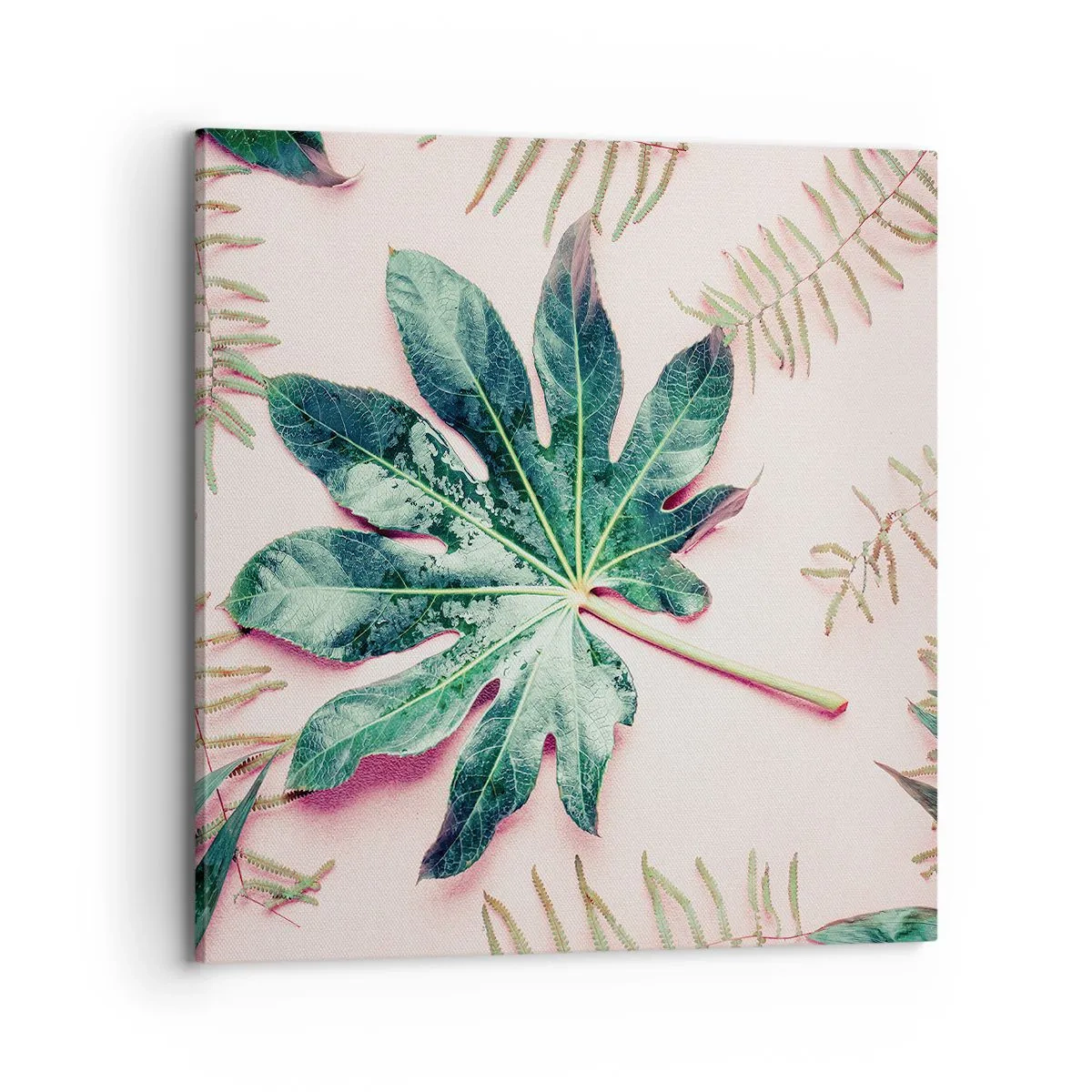 Obraz na plátne - Štúdia zelenej na ružovom pozadí - 70x70 cm