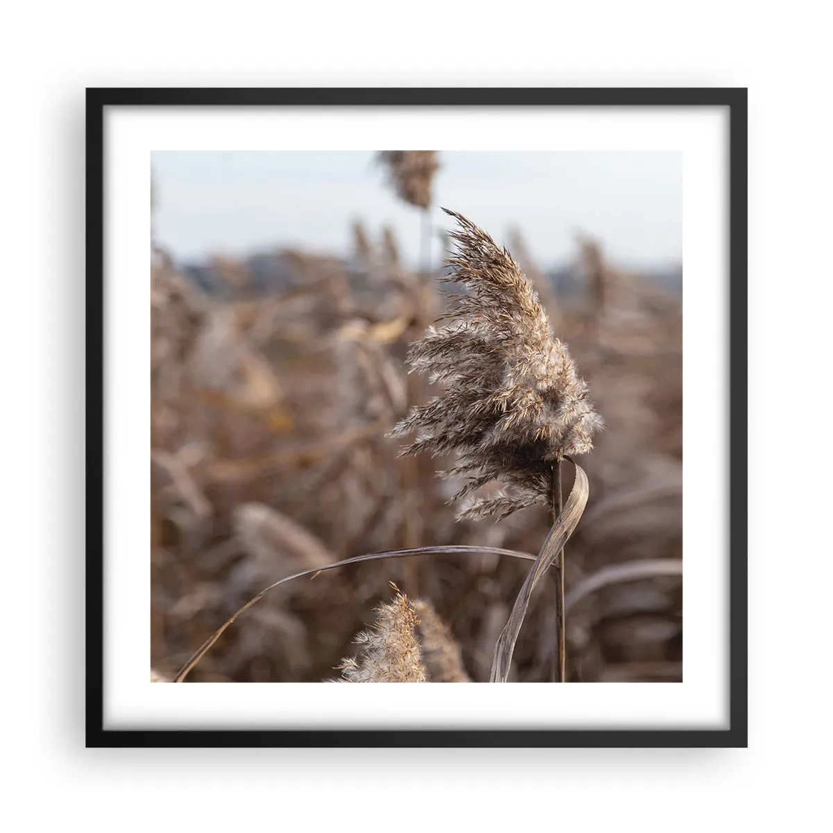 Plagát v čiernom ráme - Čas odletieť s vetrom - 50x50 cm