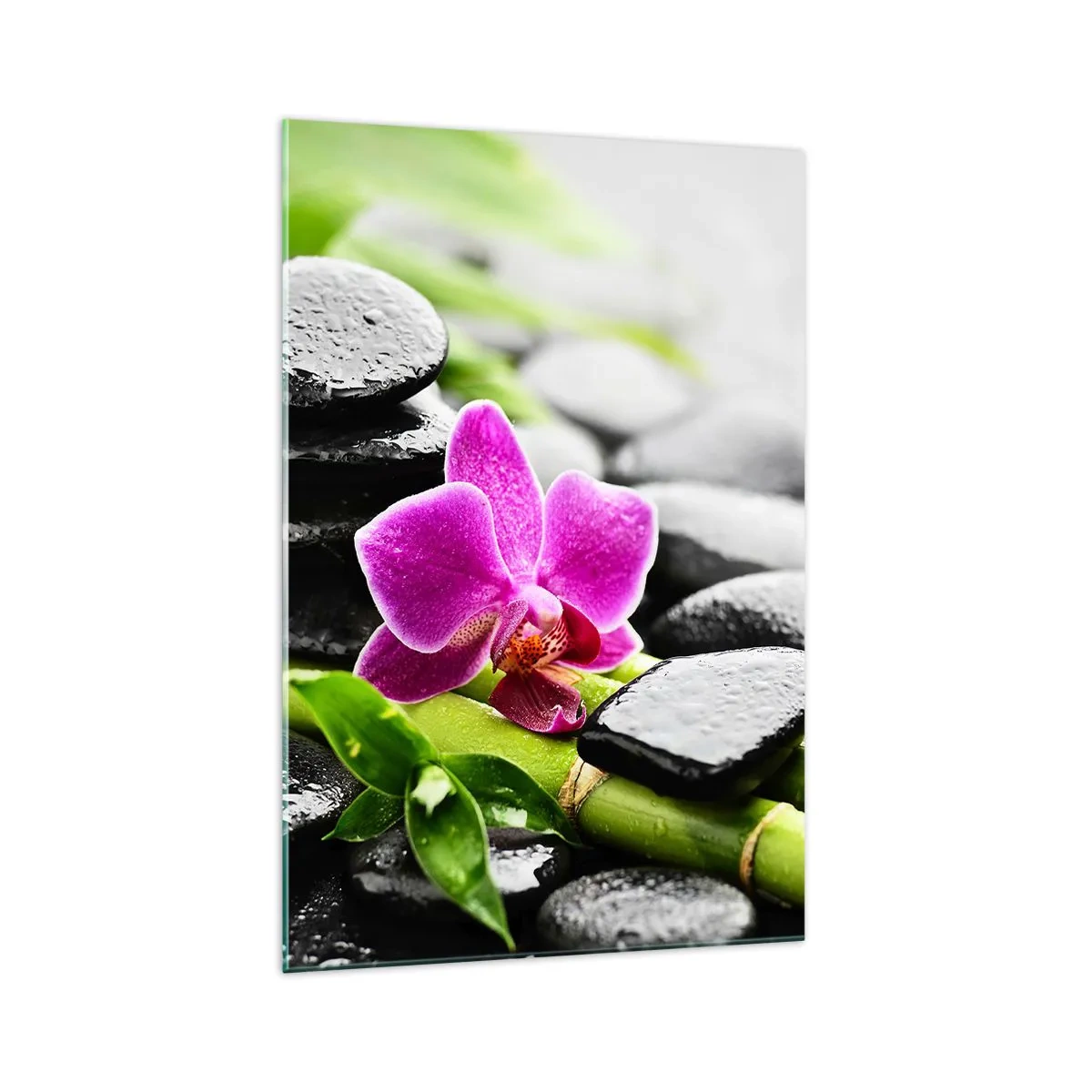 Obraz na skle - V pokojnej rovnováhe - 70x100 cm