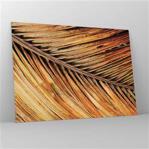 Obraz na skle - Detail suchých, zlatých palmových listov - 70x50cm - Kokosové zlato - Moderná nástenná dekorácia do obývacej izby a spálne ARTTOR