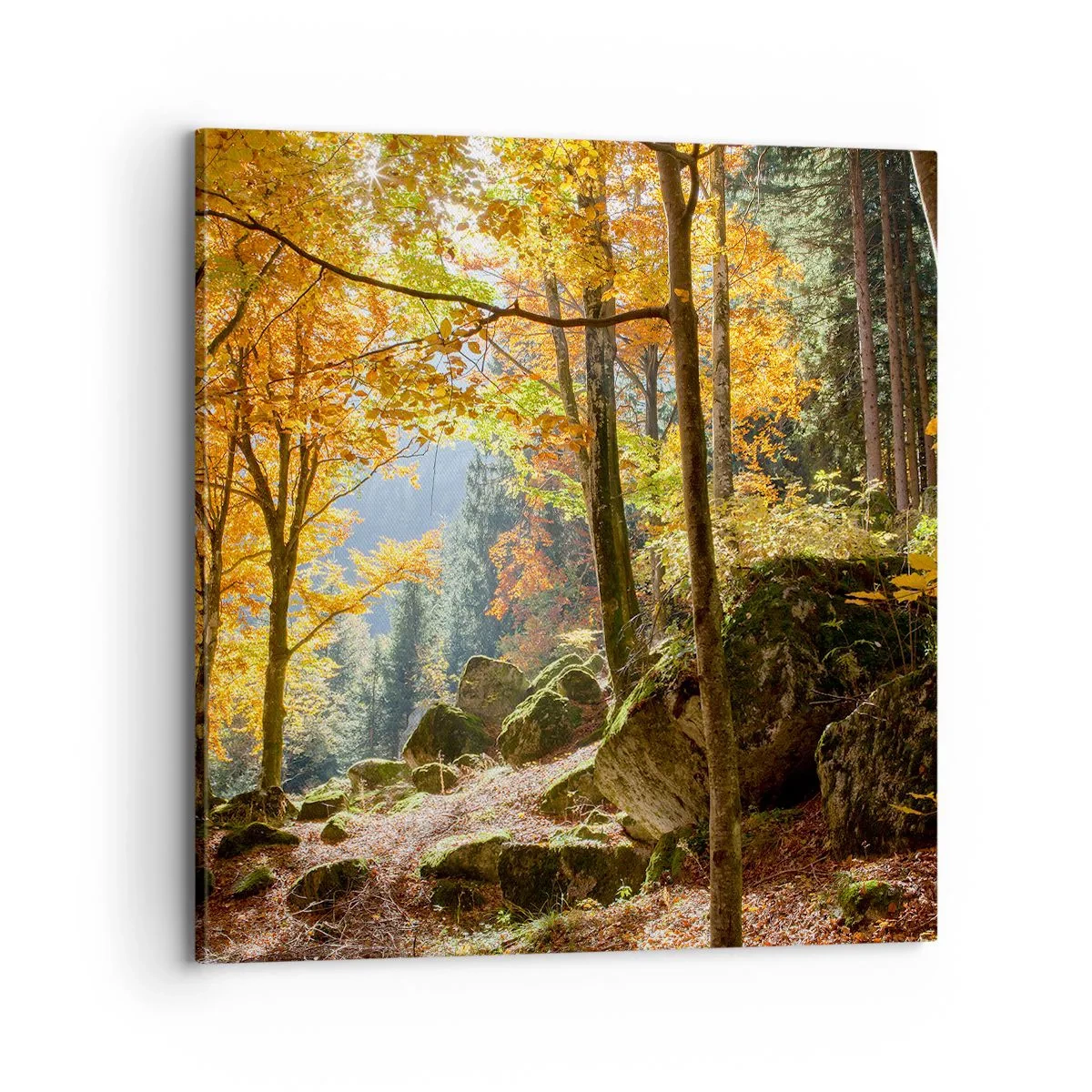 Obraz na plátne - Čas na odpočinok - 70x70 cm