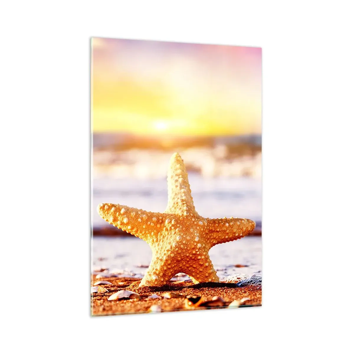 Obraz na skle - Morský darček - 80x120 cm