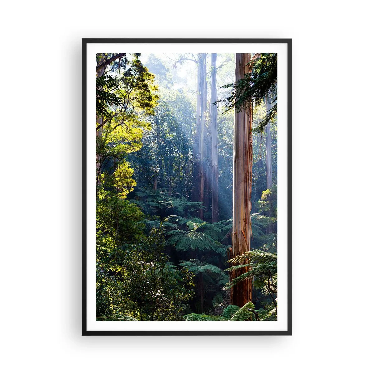 Plagát v čiernom ráme - Poviedka lesa - 70x100 cm
