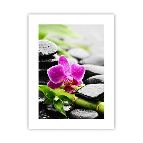 Plagát - V pokojnej rovnováhe - 30x40 cm